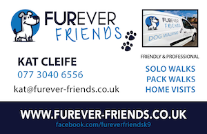 Dog Walking Services Clydebank