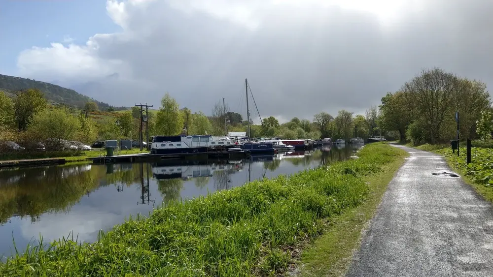 Dog Walking at Forth and Clyde Canal Bowling & Old Kilpatrick West Dunbartonshire