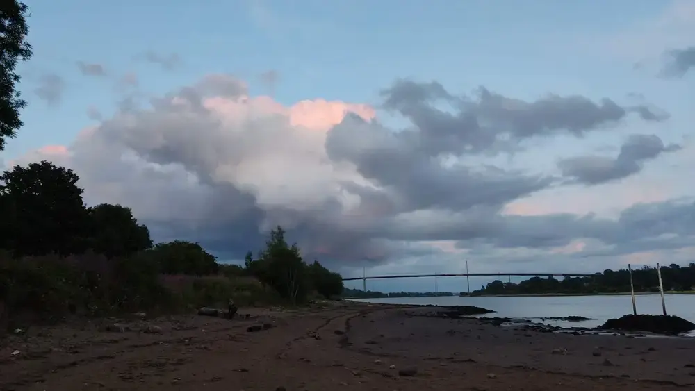 Dog Walking near the Erskine Bridge