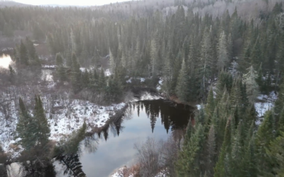 Wild Homestead Episode 1: James Alofs’ Journey into the Canadian Wilderness